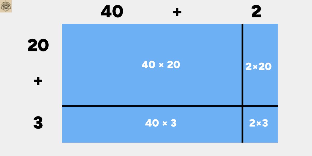 why-the-area-model-matters