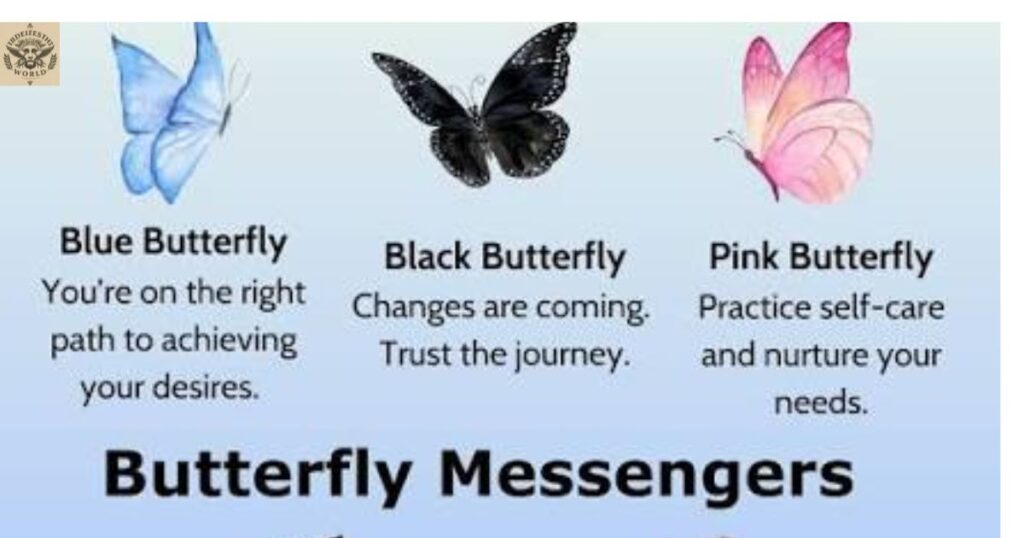 butterfly-dream-meaning