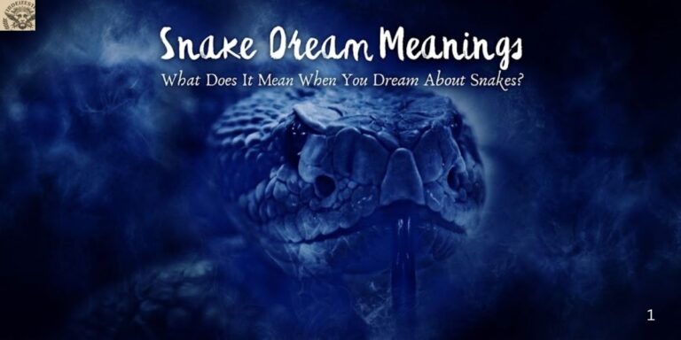 snake-dream-meanings-what-does-it-mean-when-you-dream-about-snakes